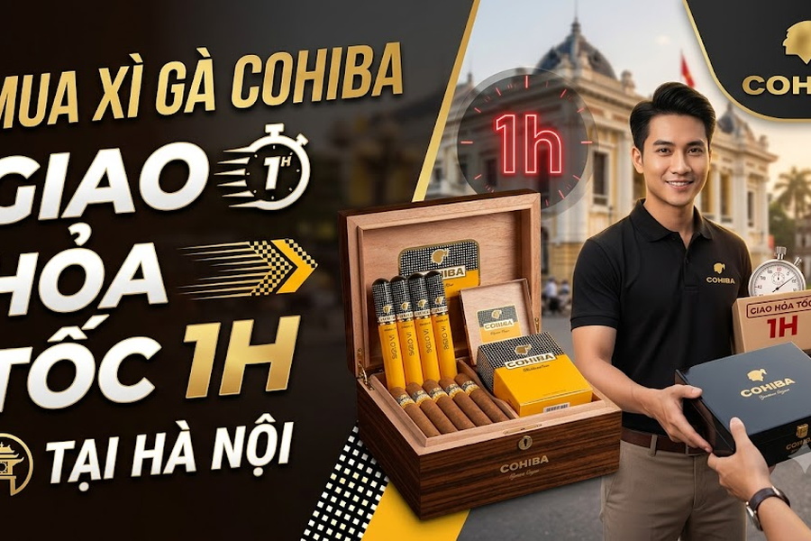 Mua Xì Gà Cohiba Giao Hỏa Tốc 1H Tại Hà Nội | Địa Chỉ Uy Tín 2026